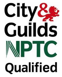 Tree Surgeon in Canterbury, City of guilds Qualified 