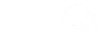 Canterbury Tree Surgery Tree Surgeon Canterbury Kent